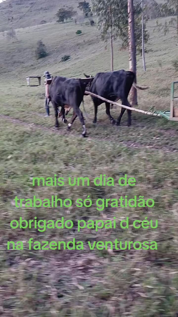 @ELIZEU Batista