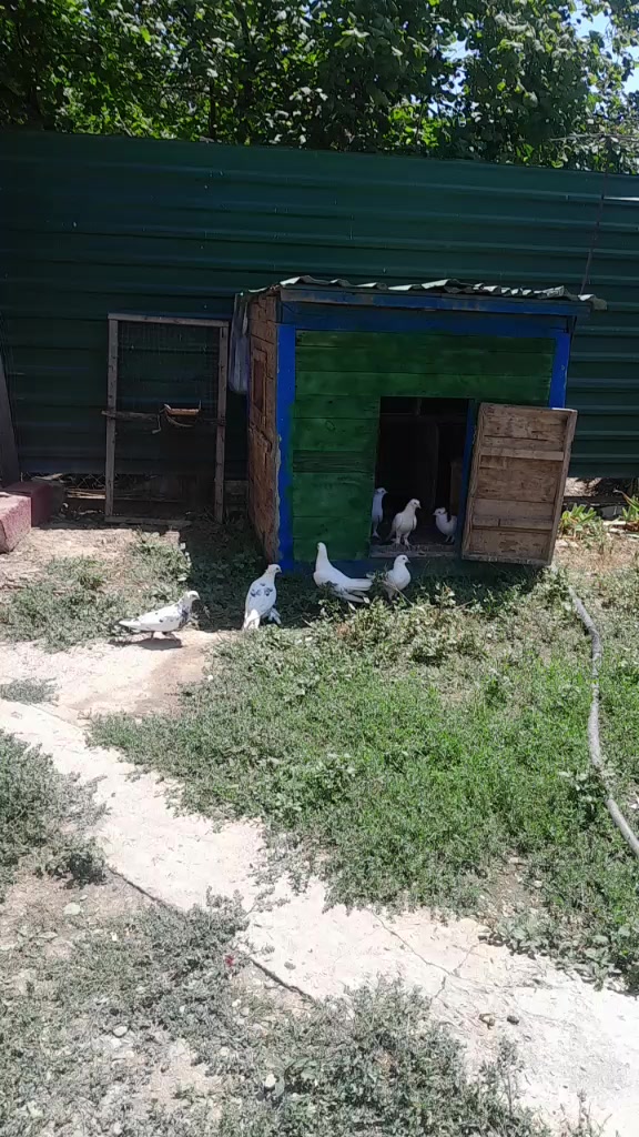 @tural məmmədov