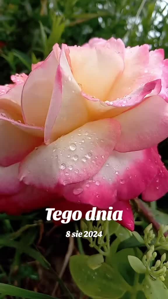 @MaGdaC