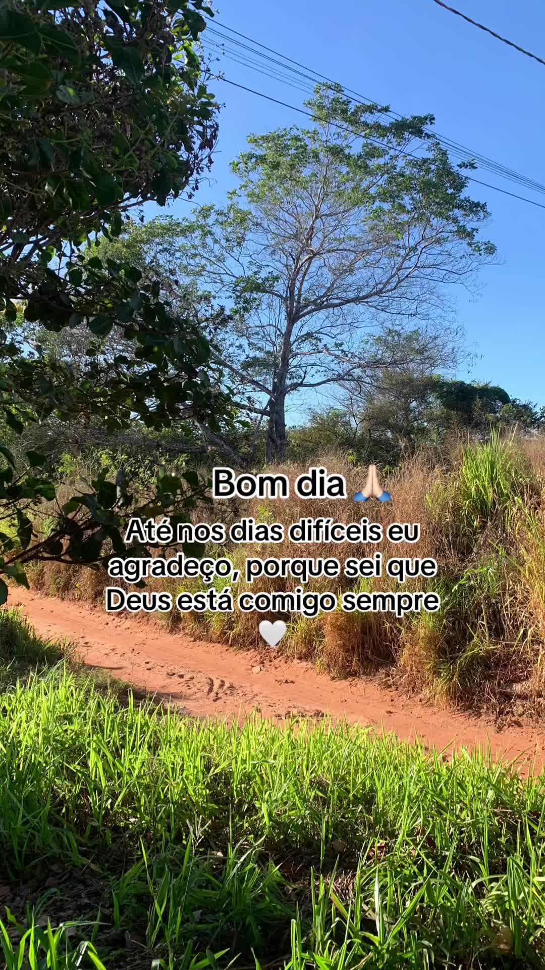 @Entre Laços