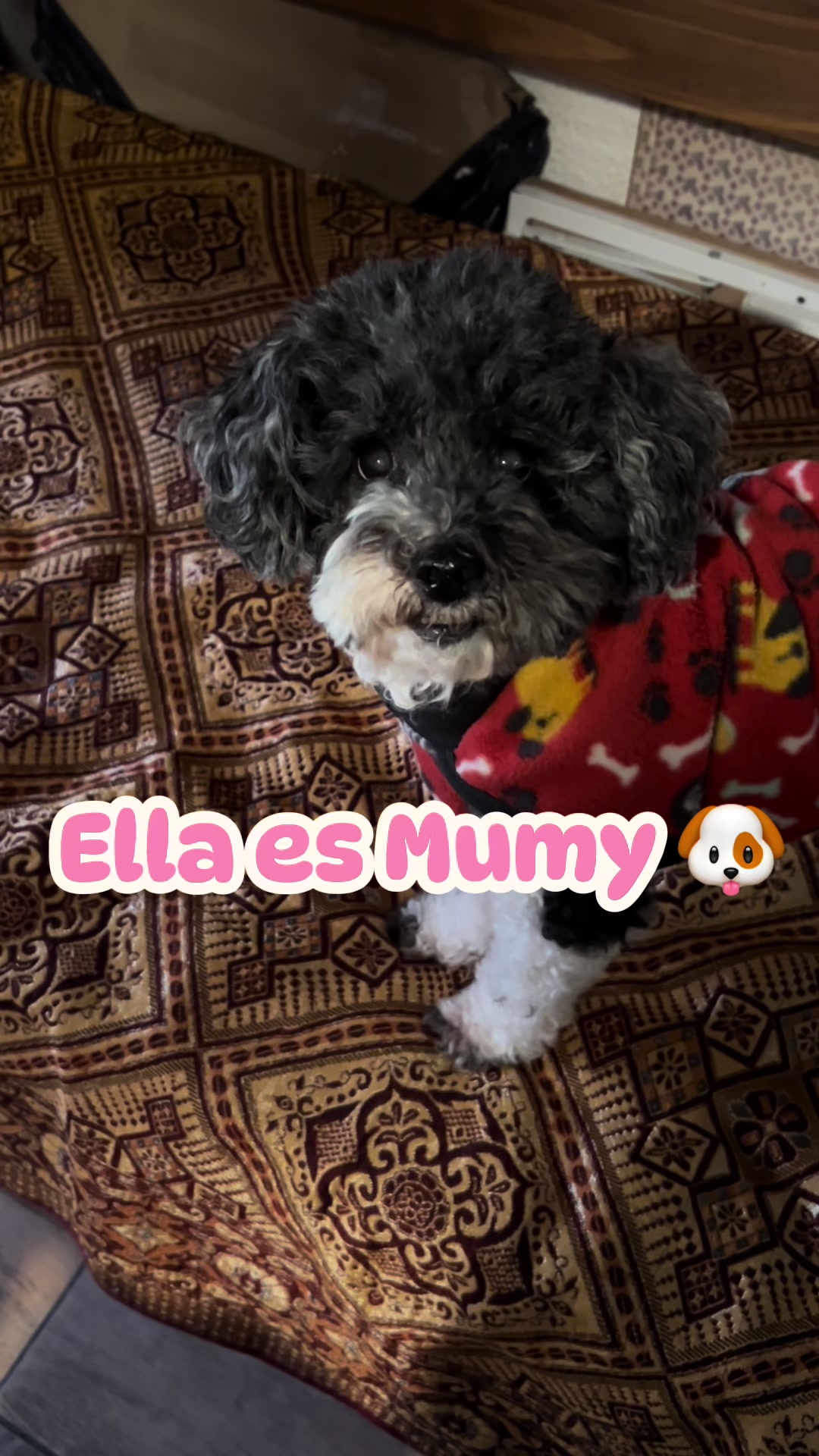 @manchitasdetinta