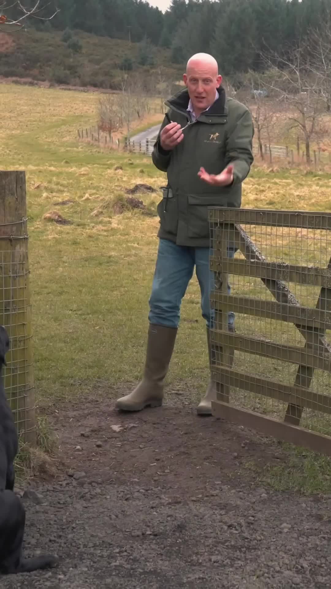 @Mordor Gundogs