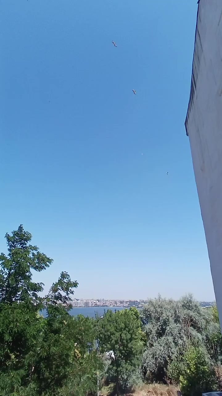@bayramNuriefe