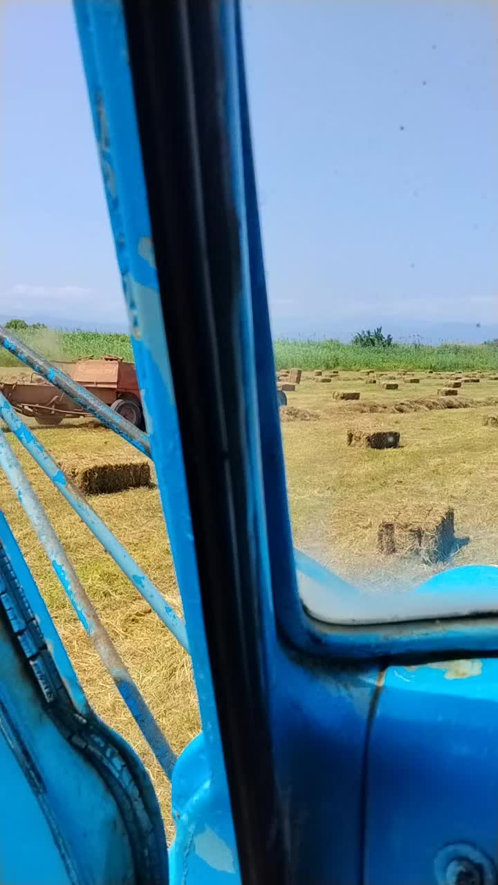 @dadaşov__475