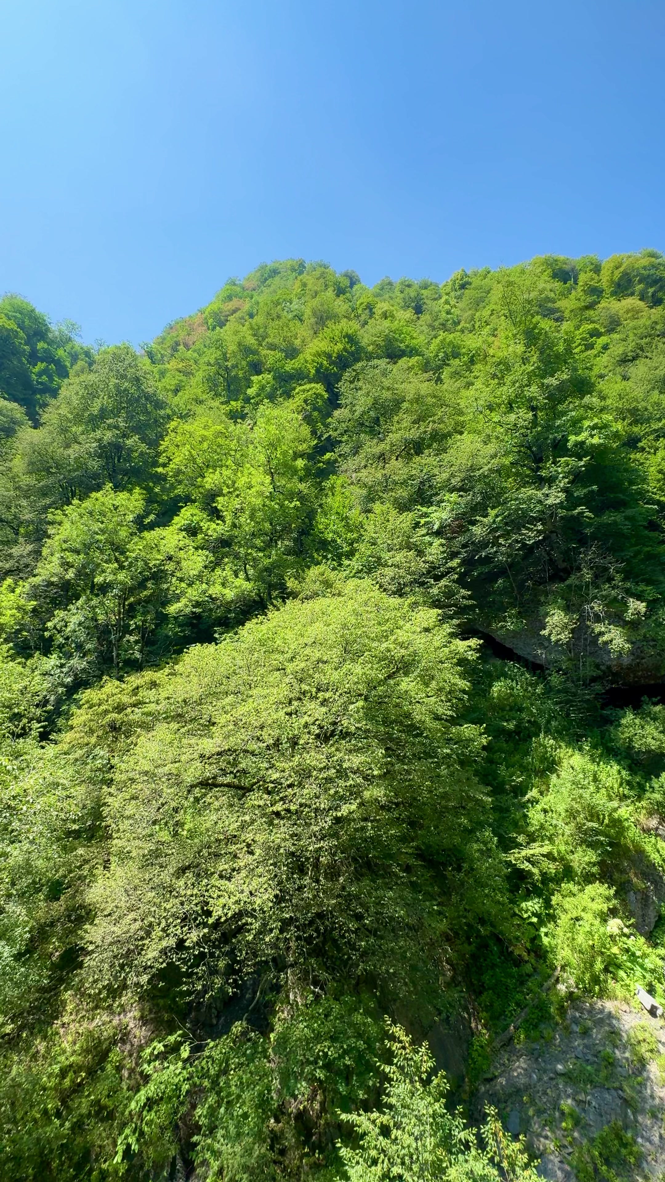 @𝐐𝐀𝐌𝐀𝐑𝐕𝐀𝐍 📍🌿