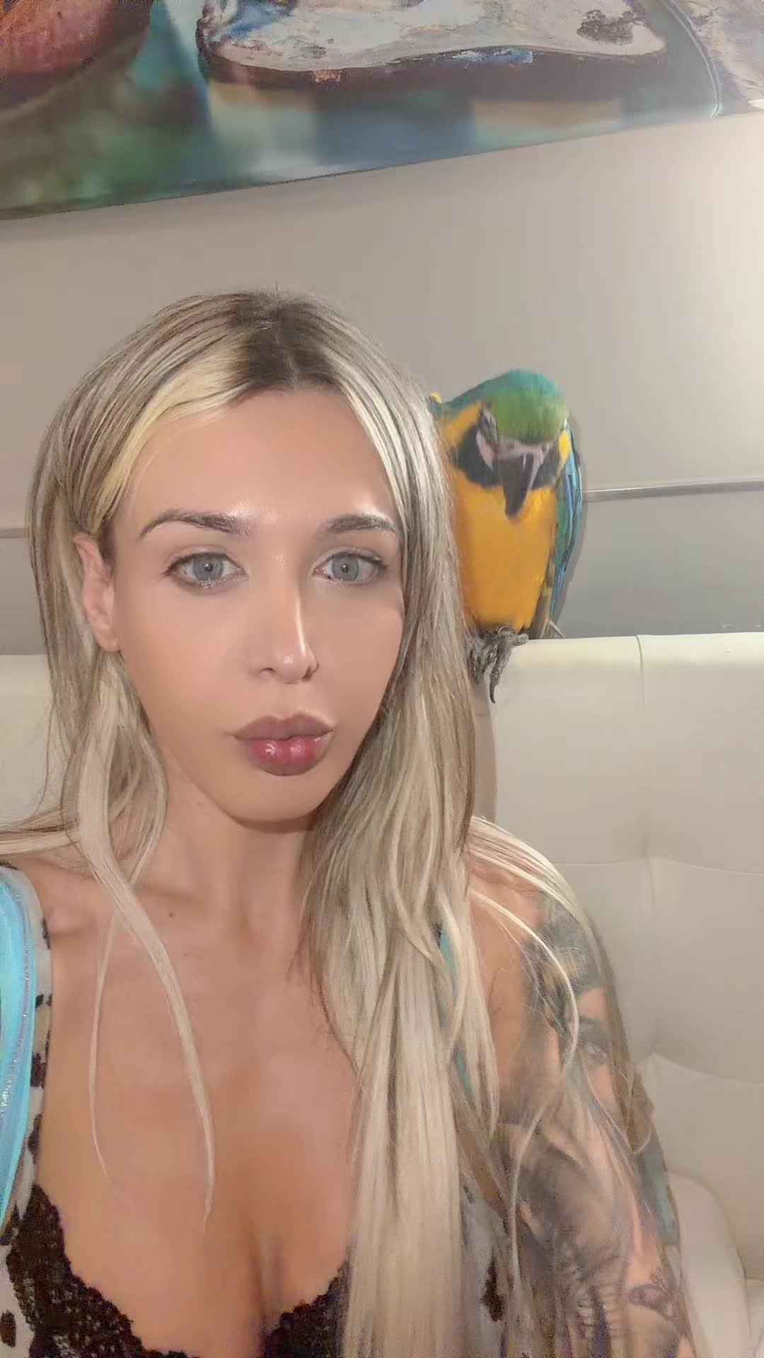 @Jennifer venuti