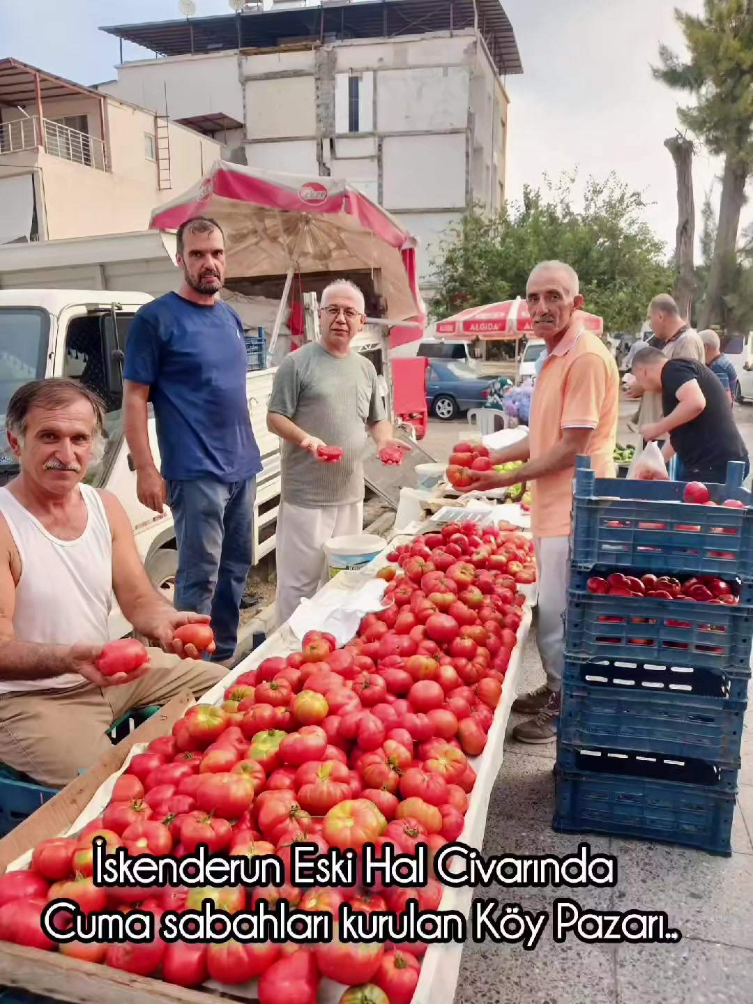@iskenderunbülteni