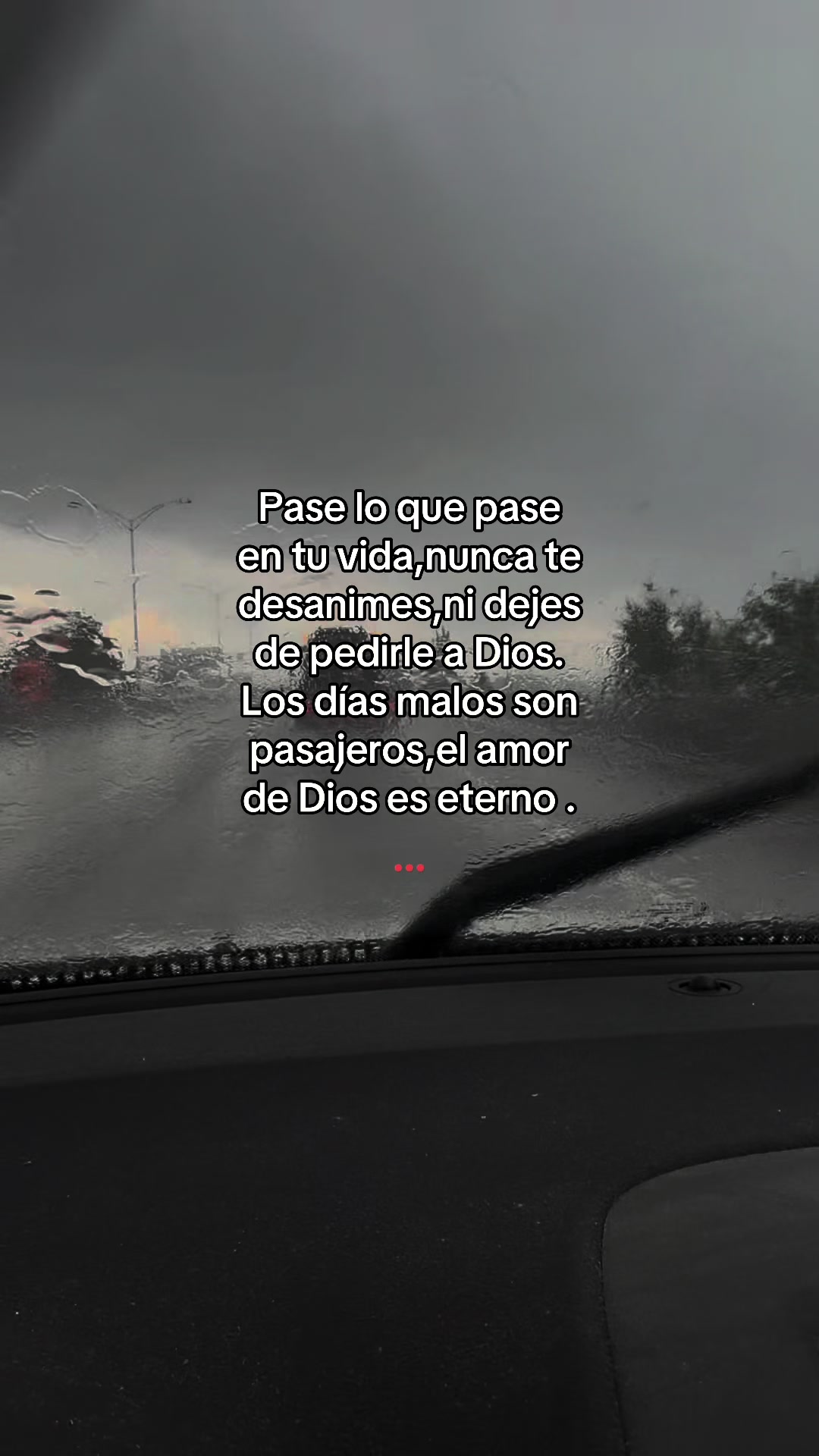 @Lamaracucha_02