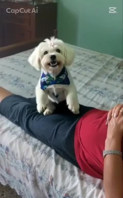 @A_n_d_r_e_i🇷🇴🇷🇴🫩🫩