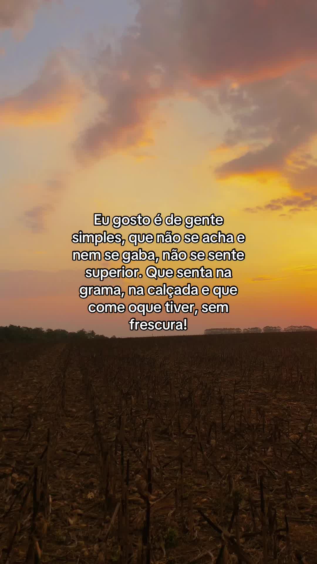@Torezin.marcos