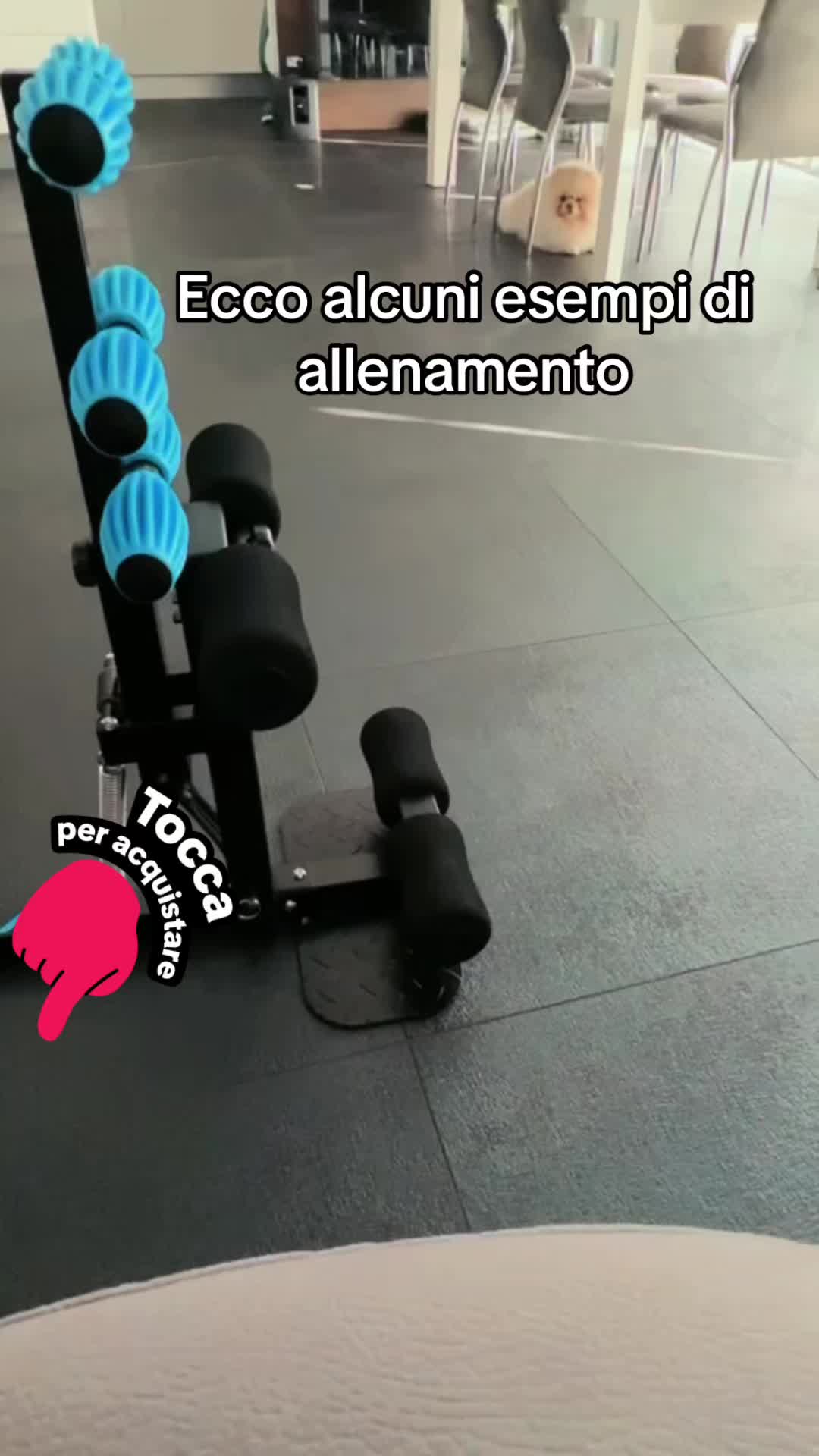 @mariaferrigno28