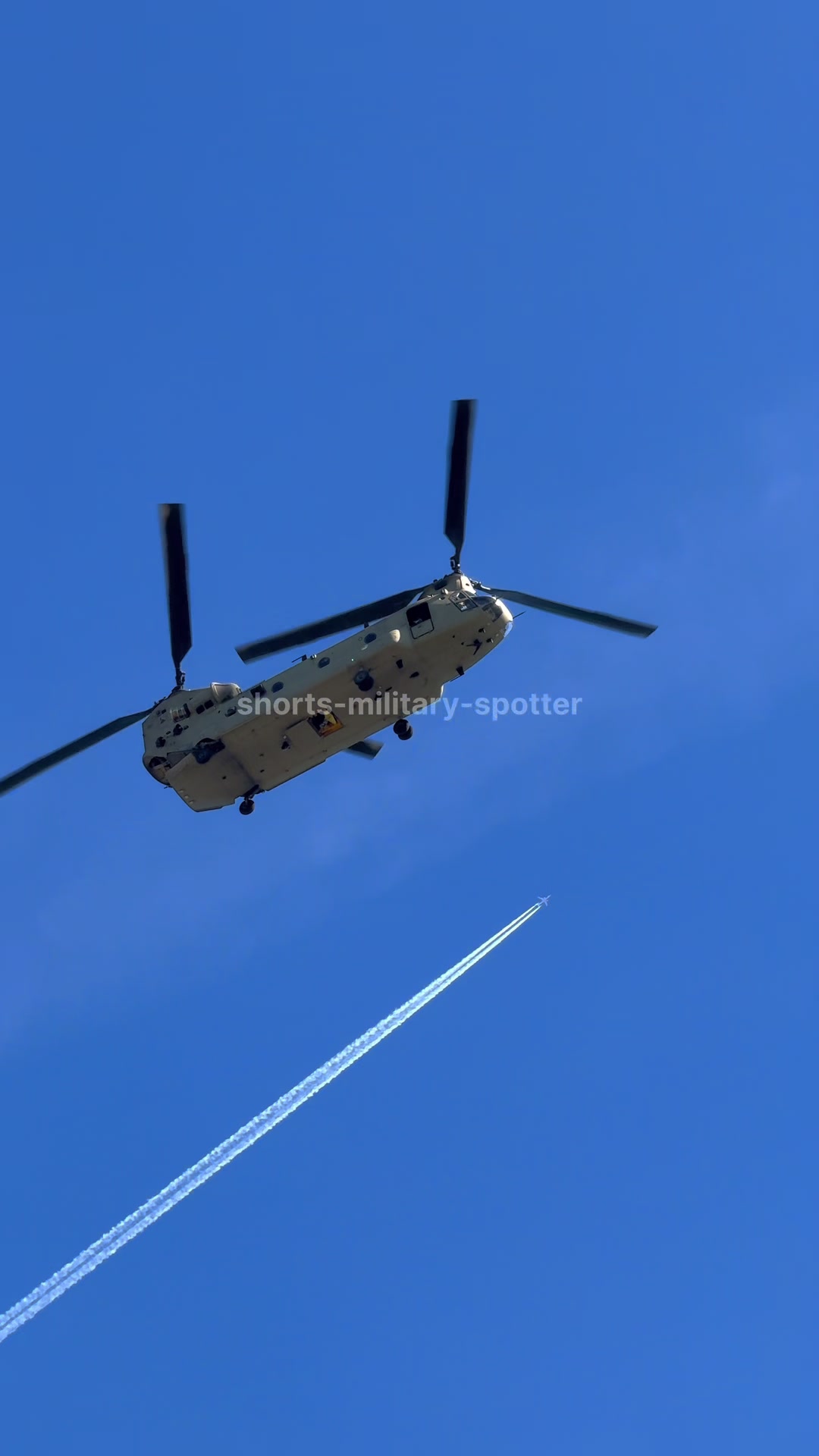 @shorts-military-spotter