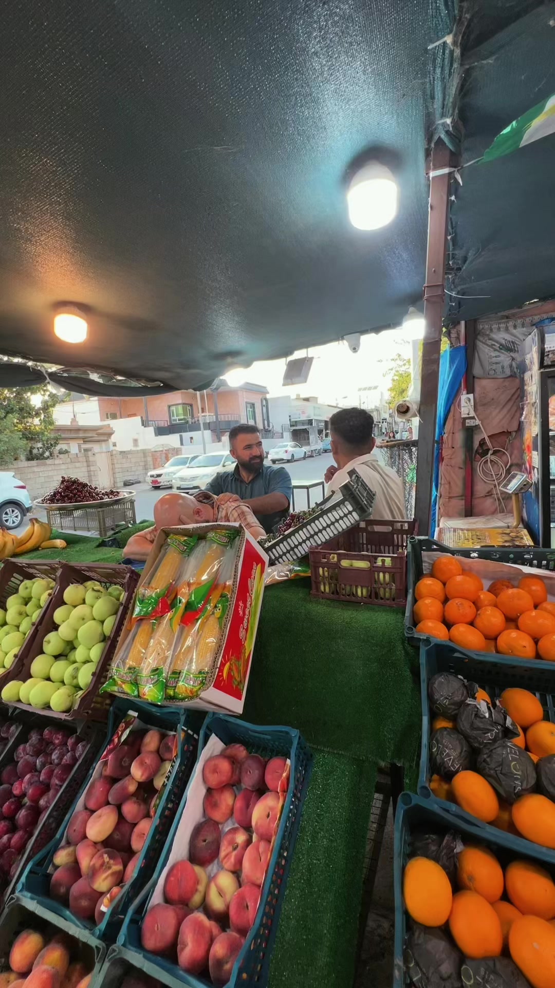 @Risha Darbani🍉🍉🍉