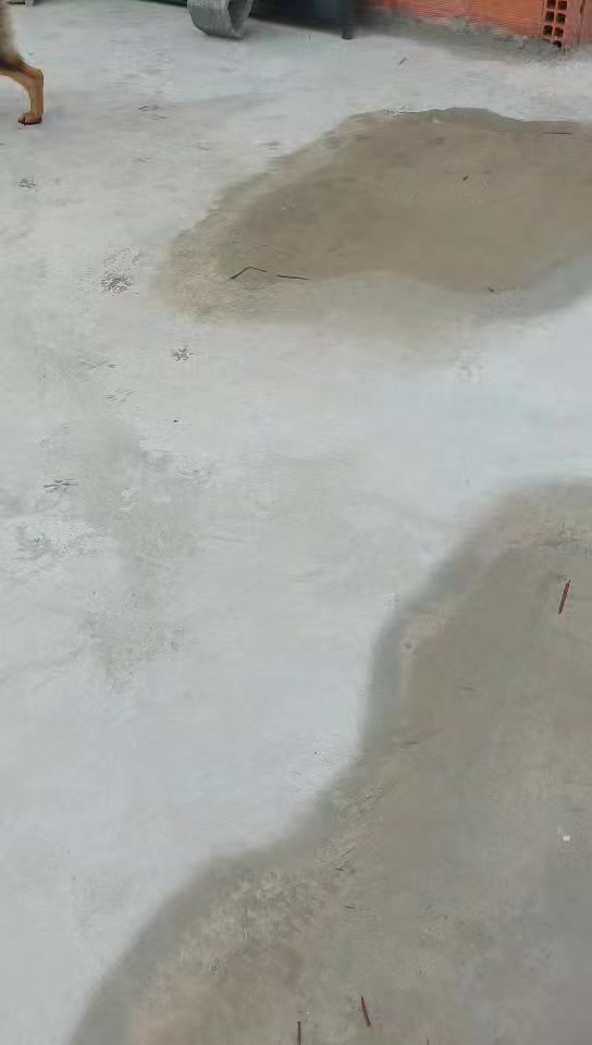 @صقر