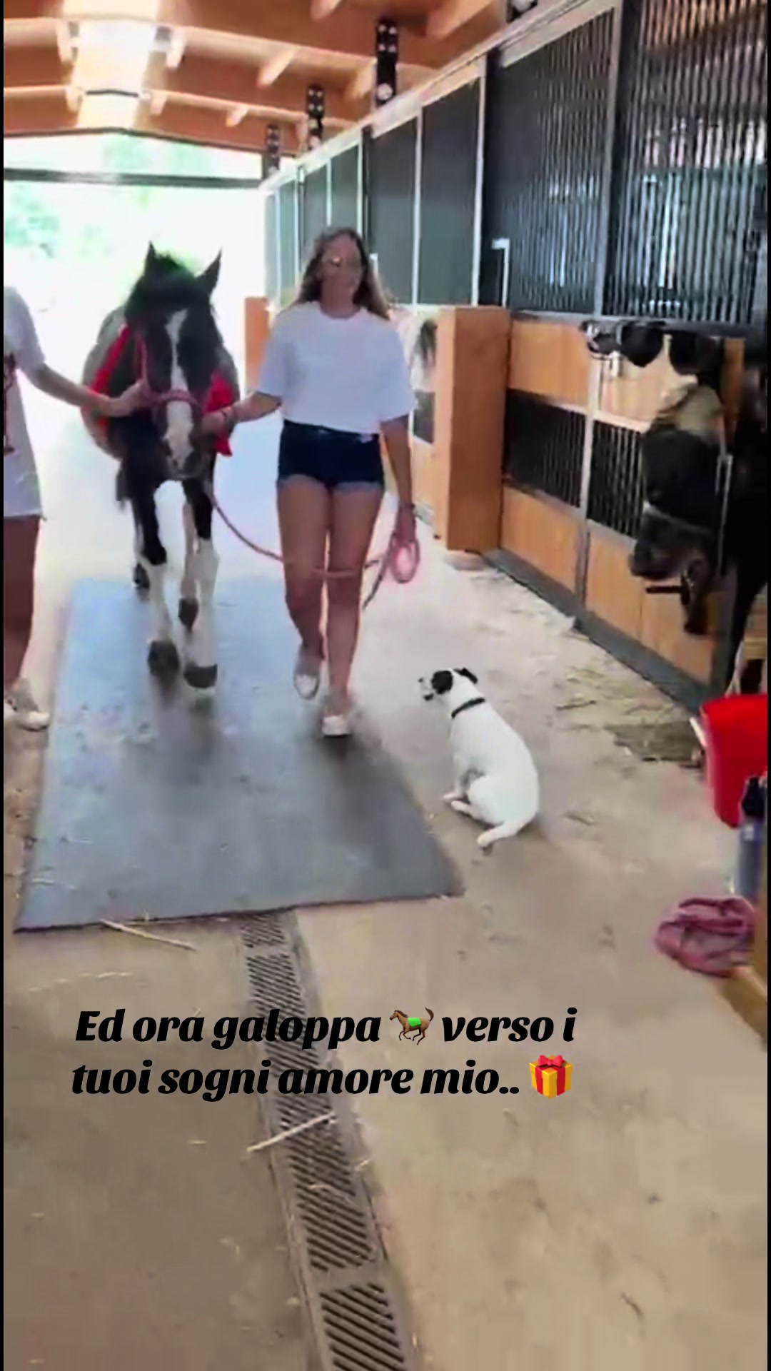 @Jolanda Piccolo