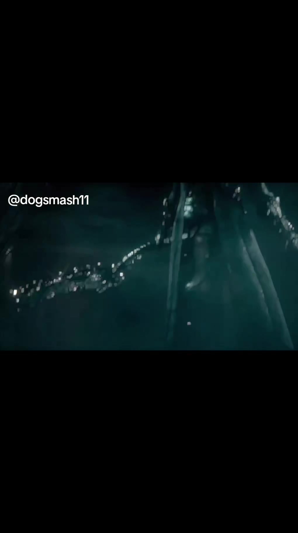 @dogsmash11