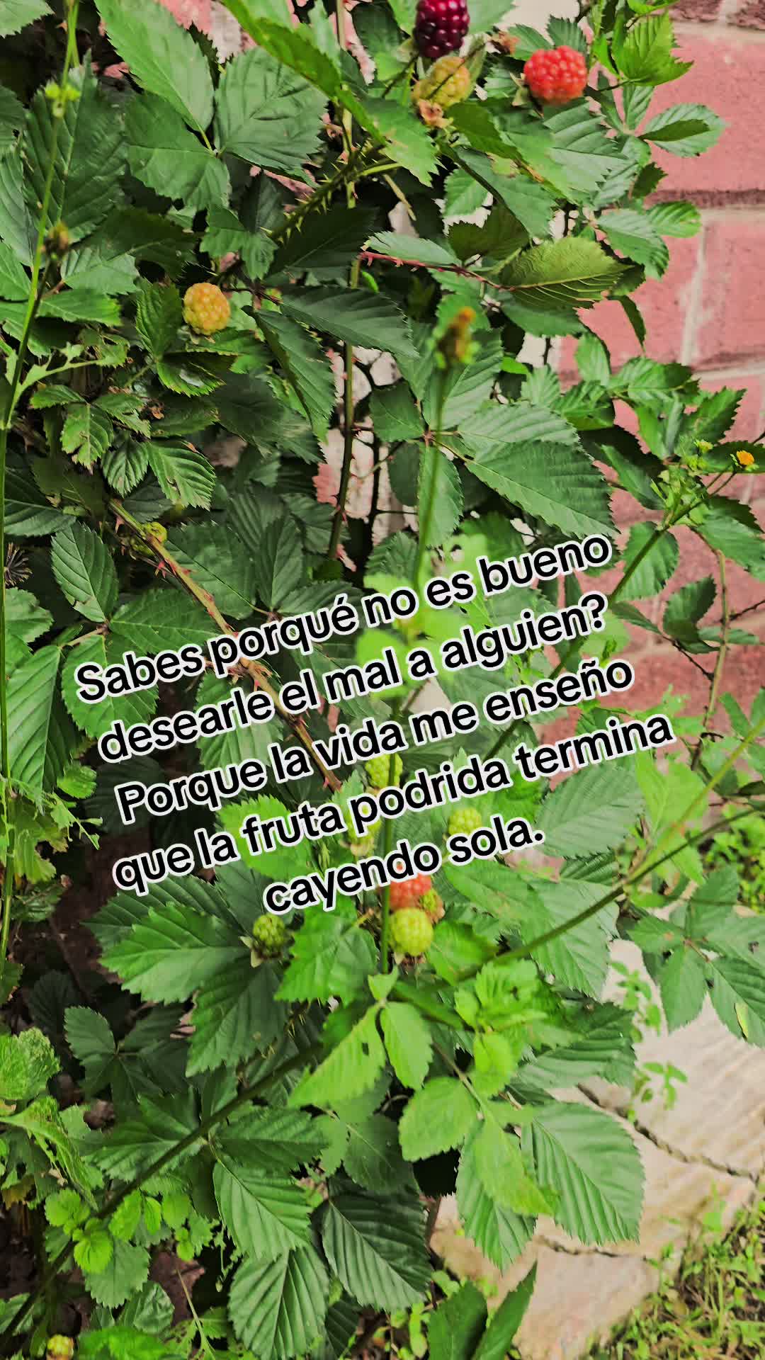 @Psic. Monica Delgadillo