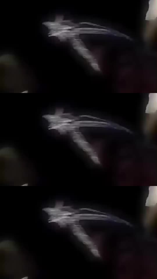 @topfloorboss