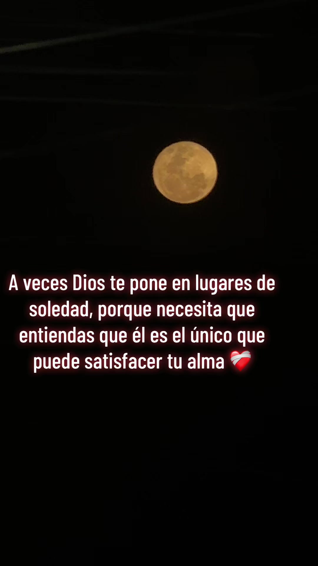 @Laura Mayorga