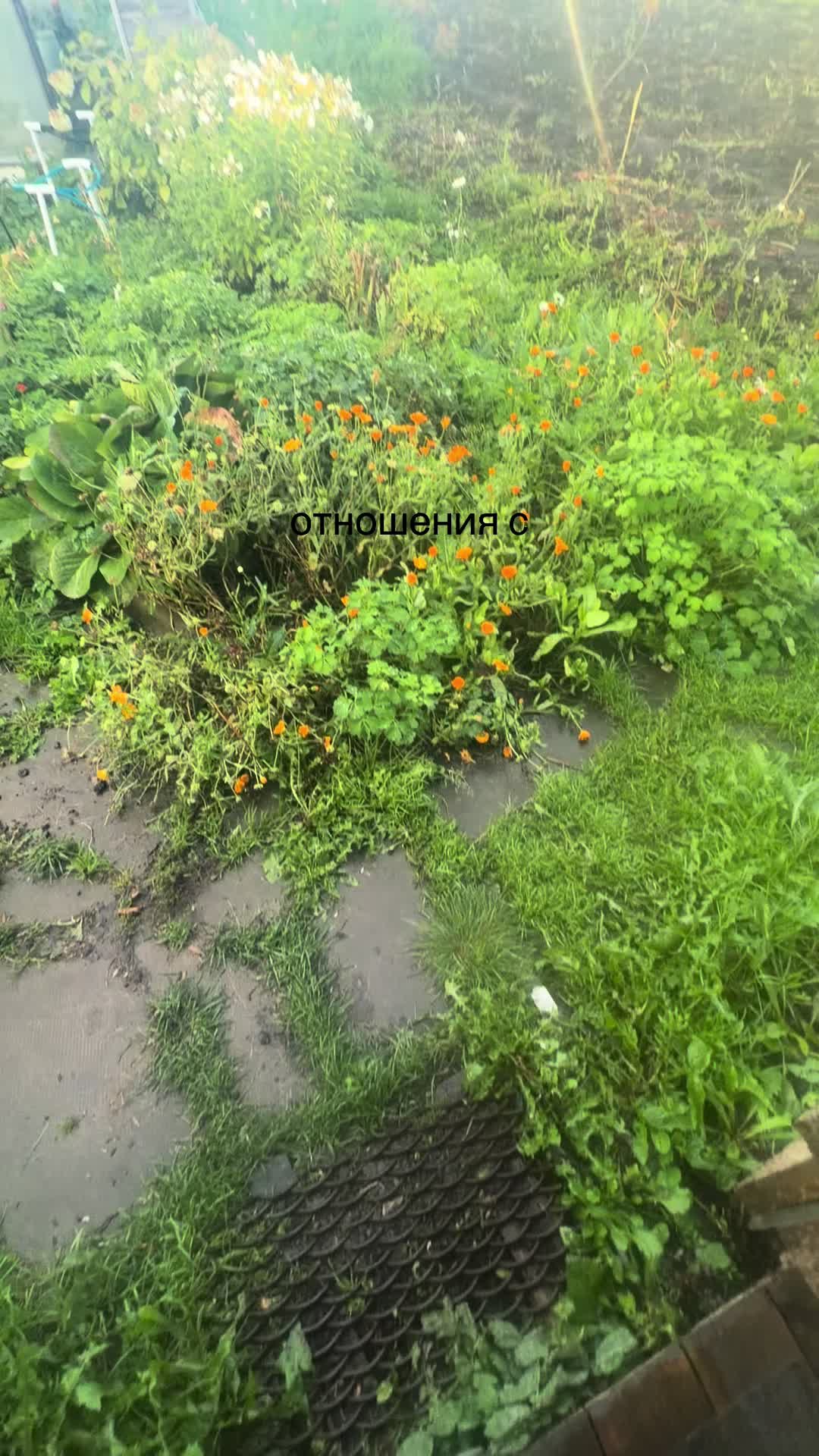 @ⲙᥱ᧐ᥕ1ᥕg