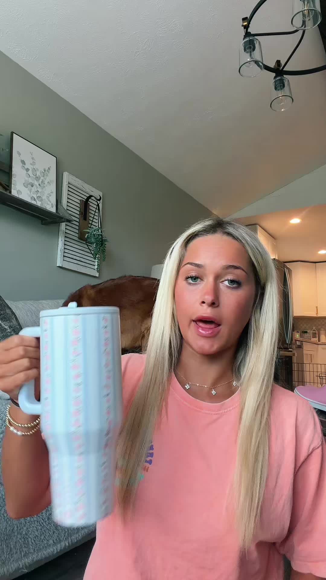 @addison.traviss