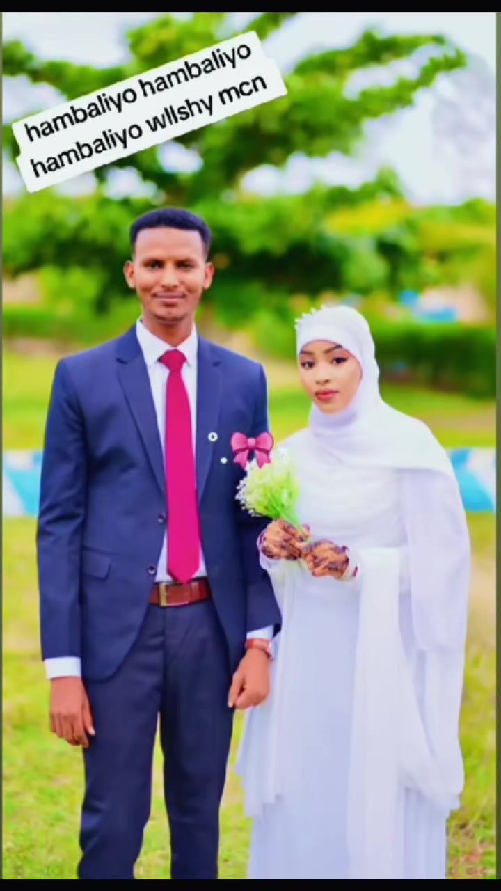 @maamulka degmada berdaale