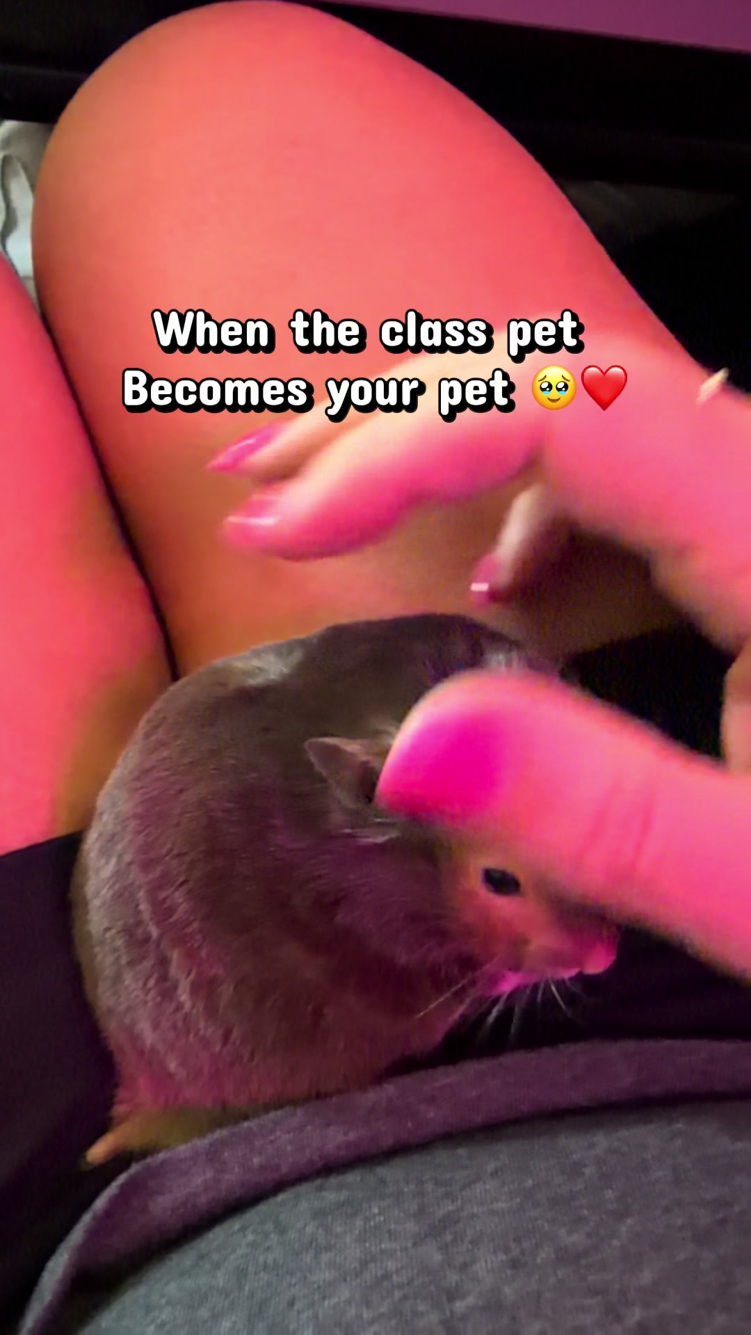 @TwoTeachersOnePlan