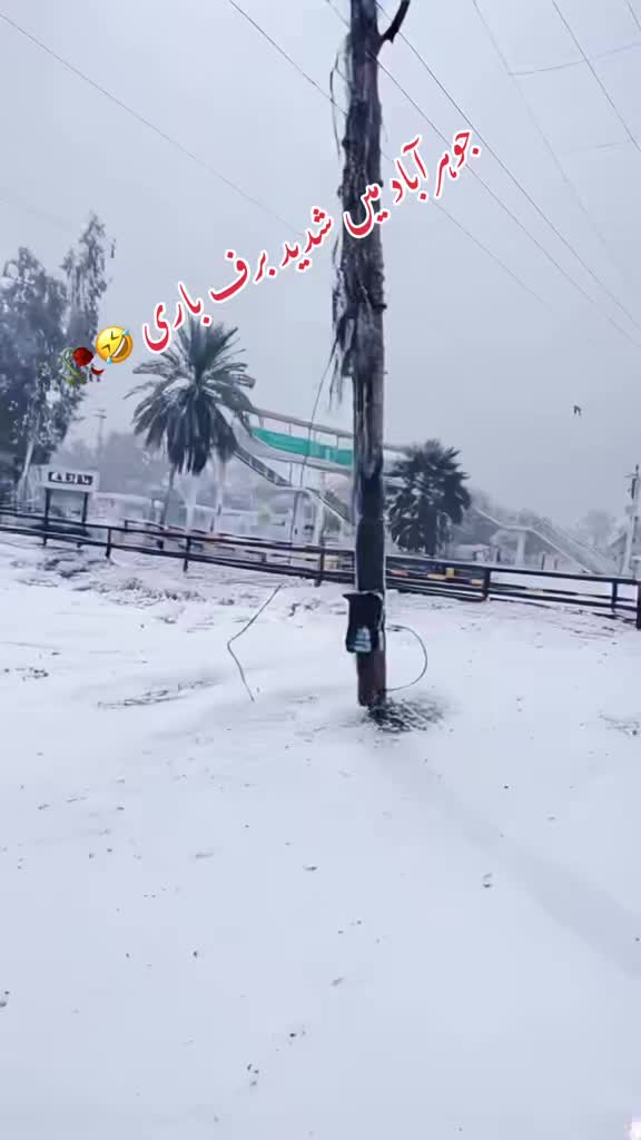 @Apna Jauharabad