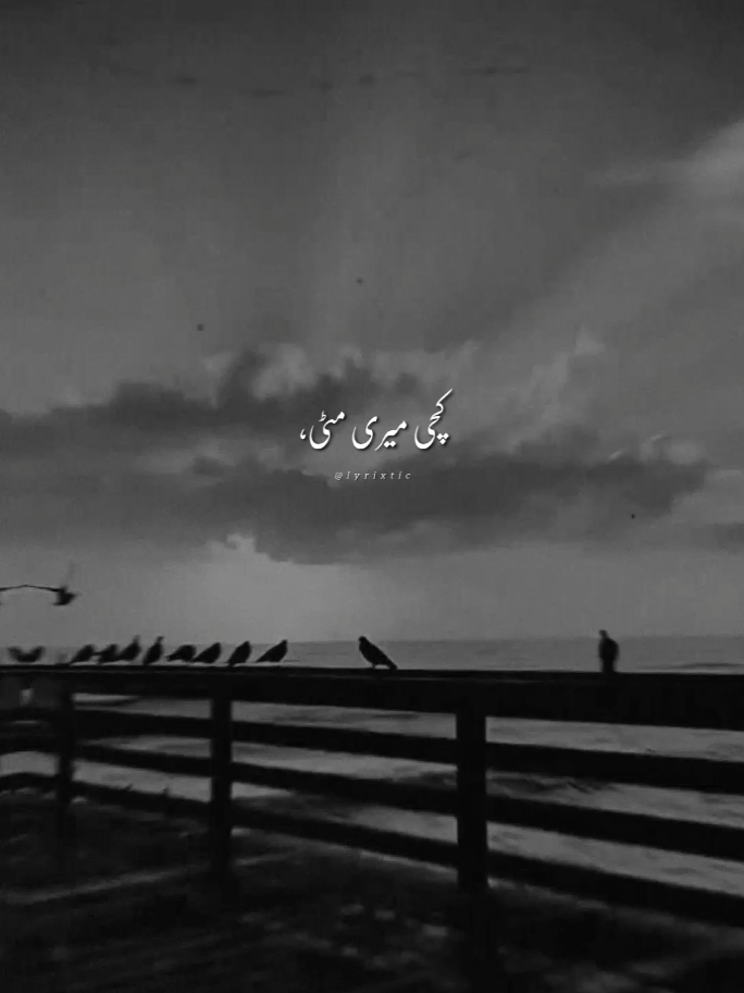 @˙.◌˚𝐋𝐲𝐫𝐢𝐱𝐭𝐢𝐜🦋.•