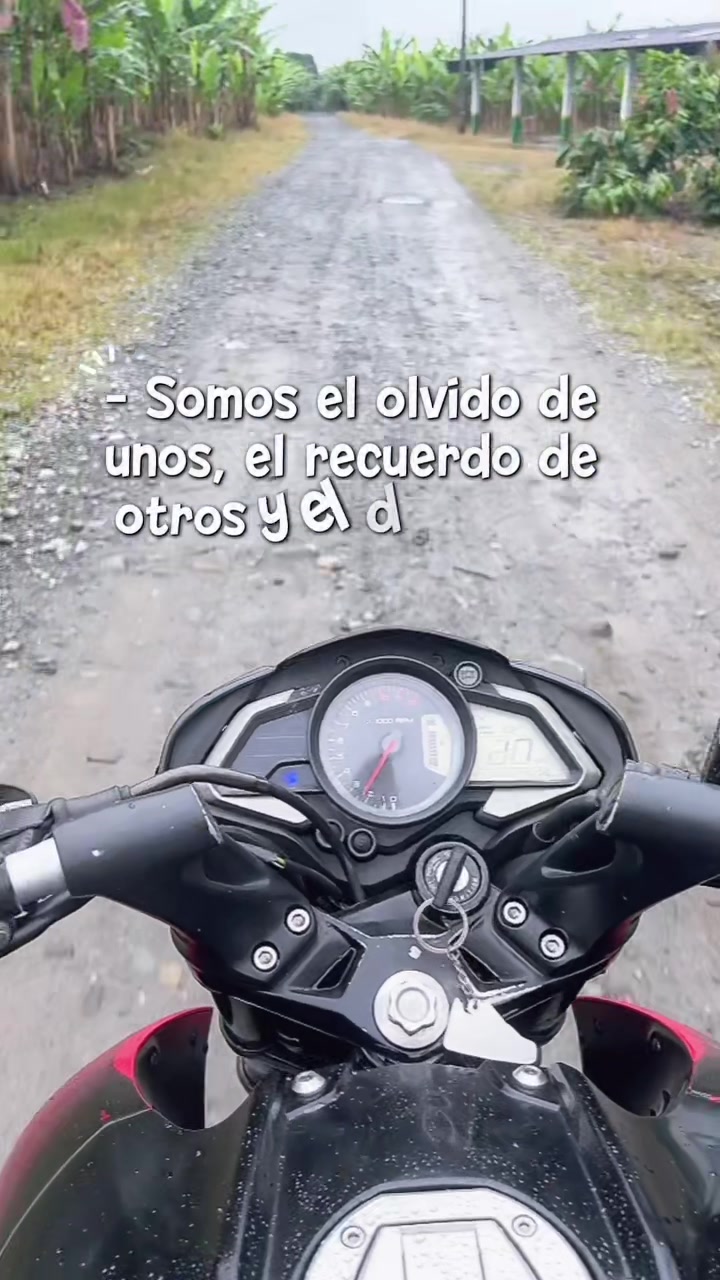 @Alex Vega 🥷