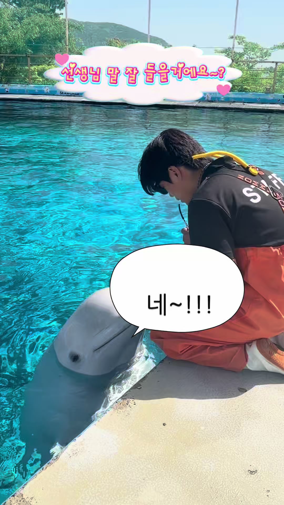 @DolphinTok