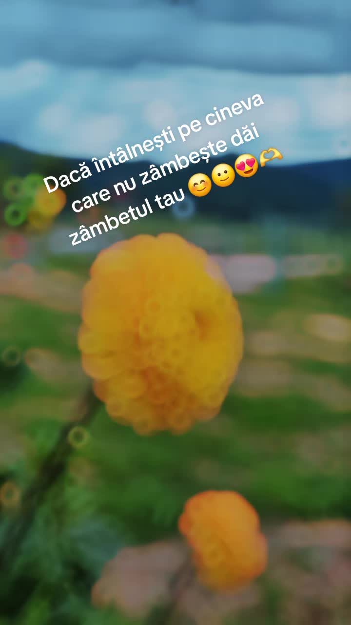 @Mihai Marica279