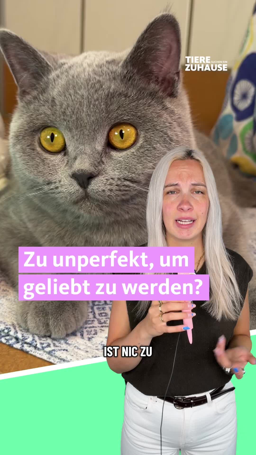 @Tiere suchen ein Zuhause