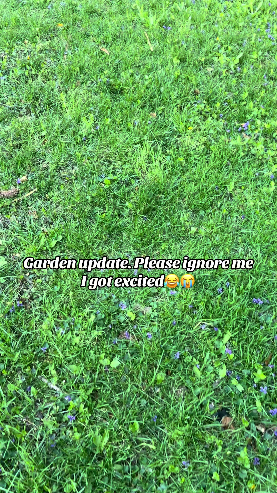 @NUNU👑