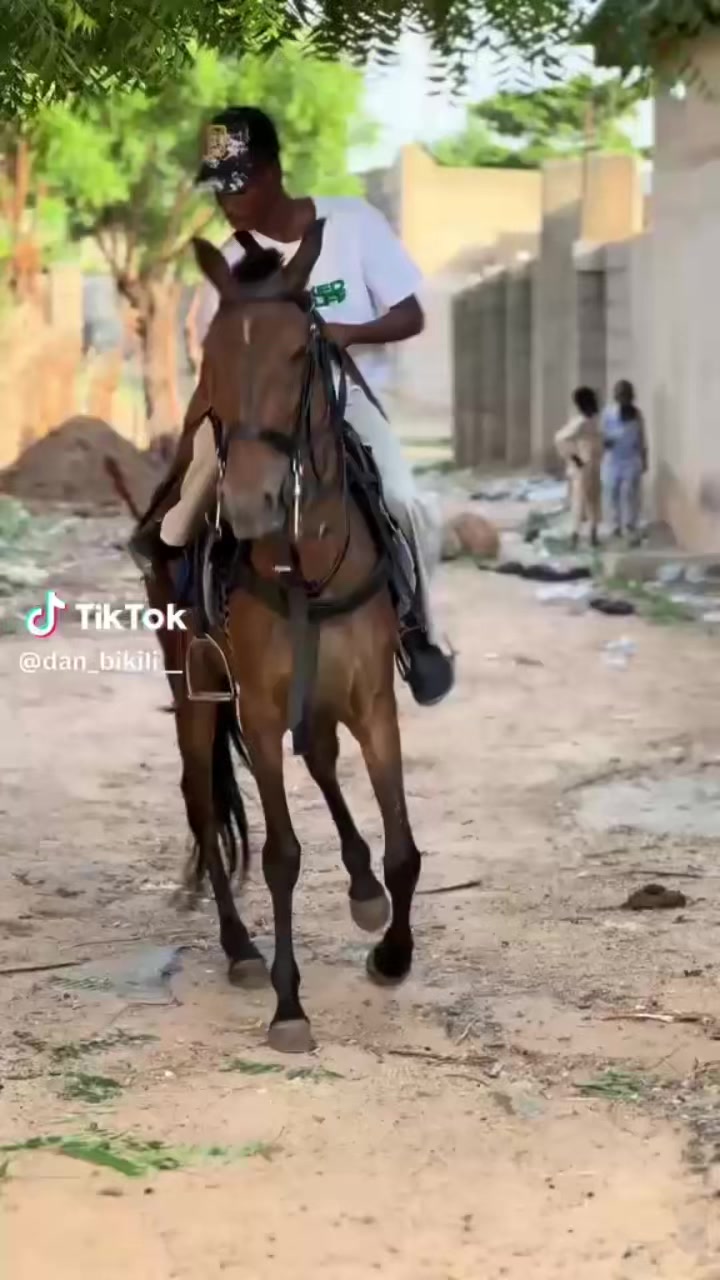 @Habu marafa