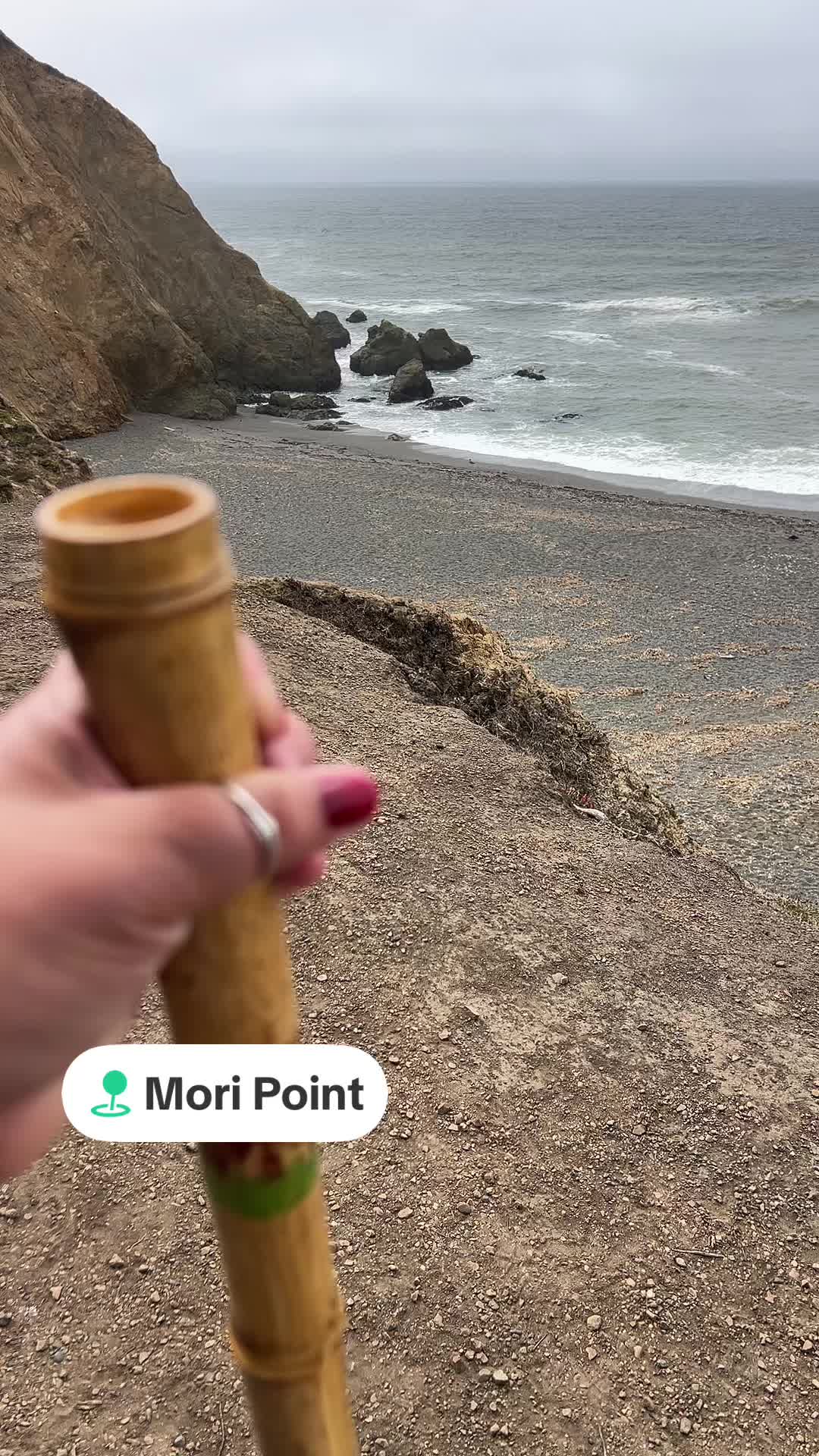 @DRoseYogi