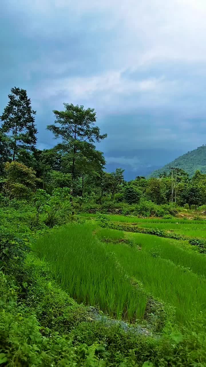 @Fast_Furious__@🇧🇹