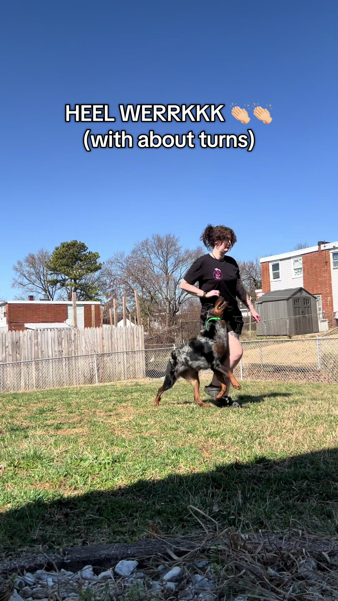 @valkyrie.the.beauceron