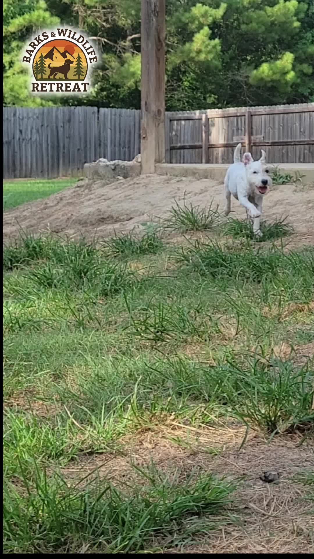 @Barks & Wildlife Longville LA