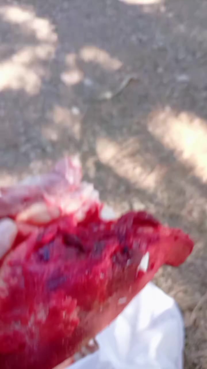 @Duran Karakaş
