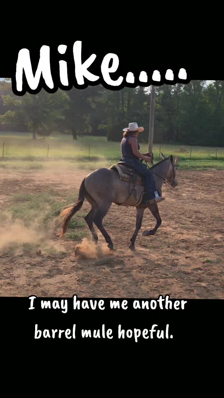 @CactusLMules