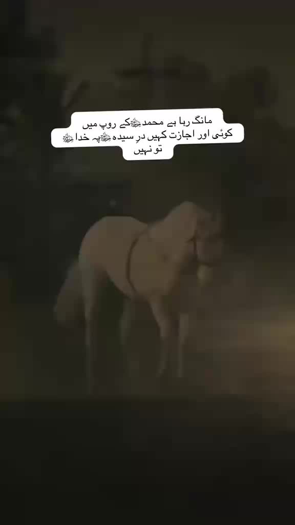 @حق پرست(مرتجز بادشاہ)