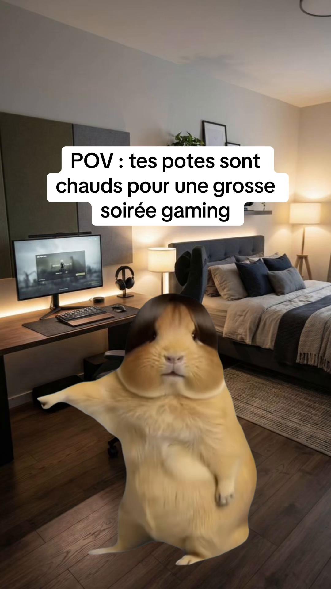 @Free France