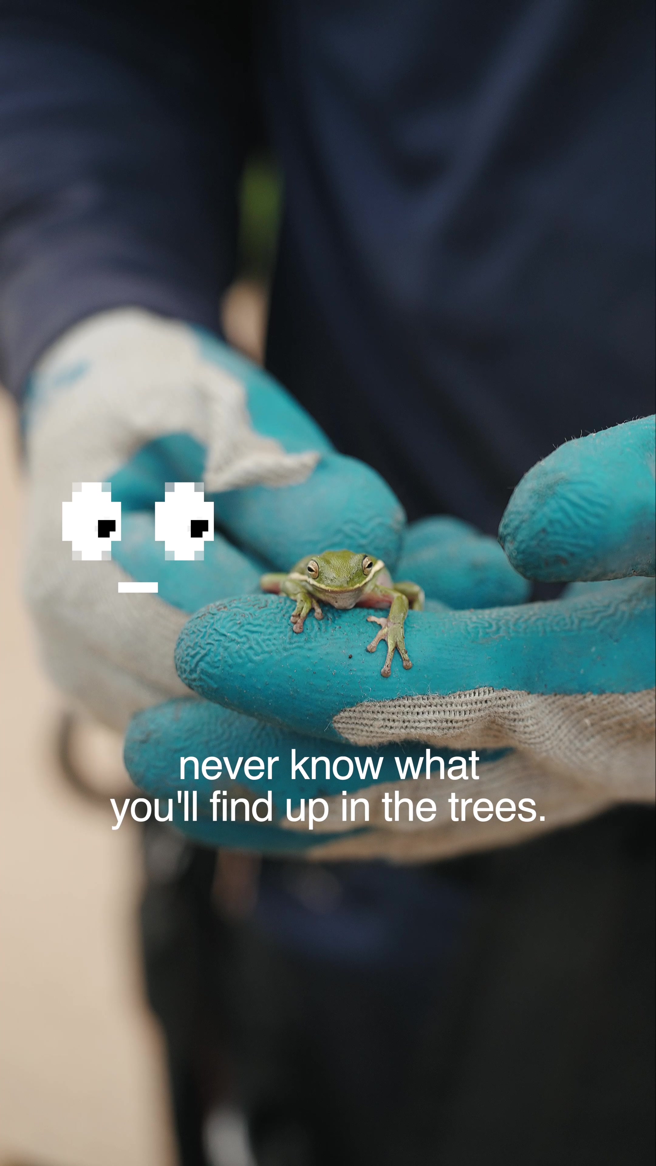 @SPTreeService
