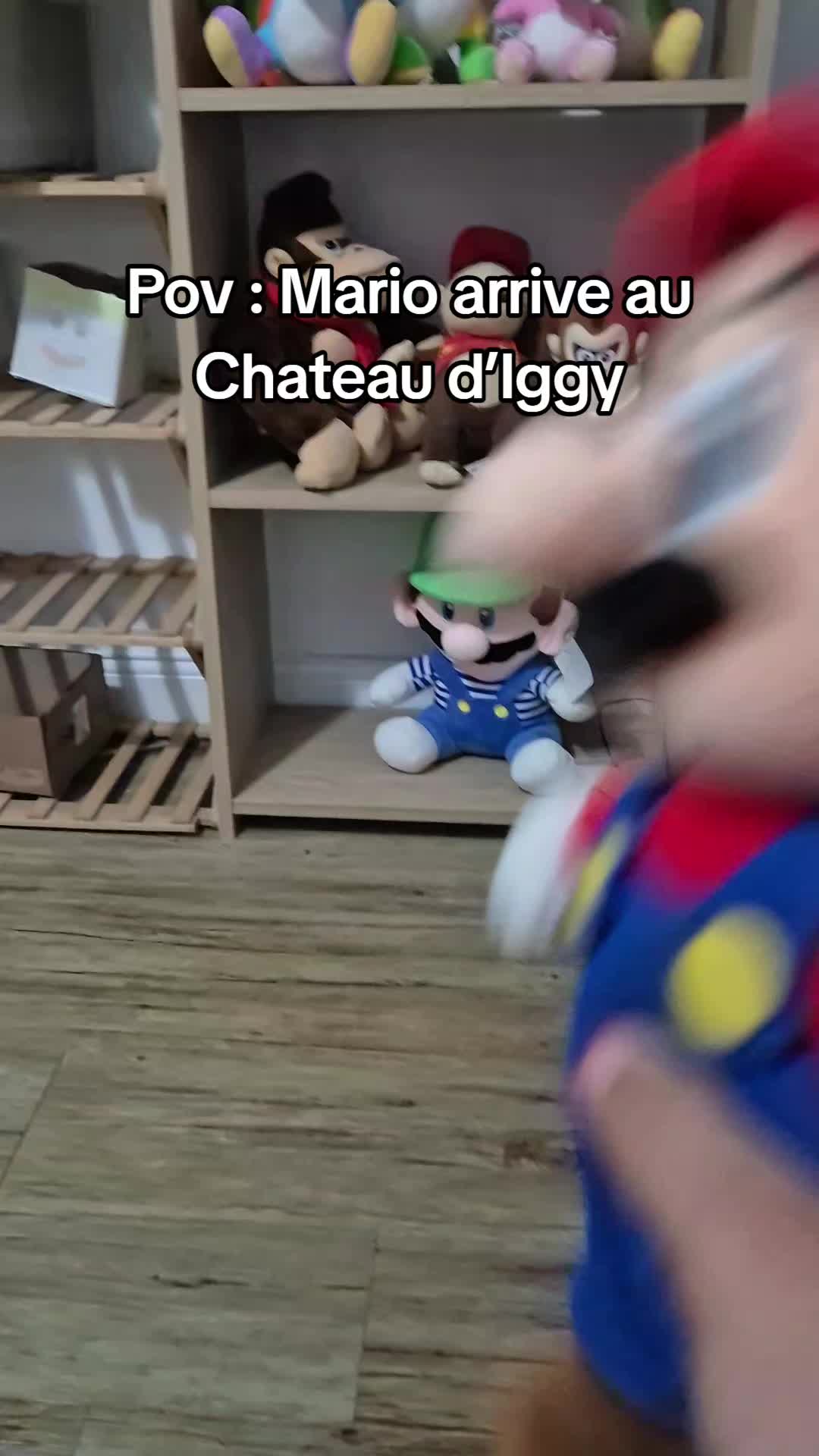 @peluchemario64