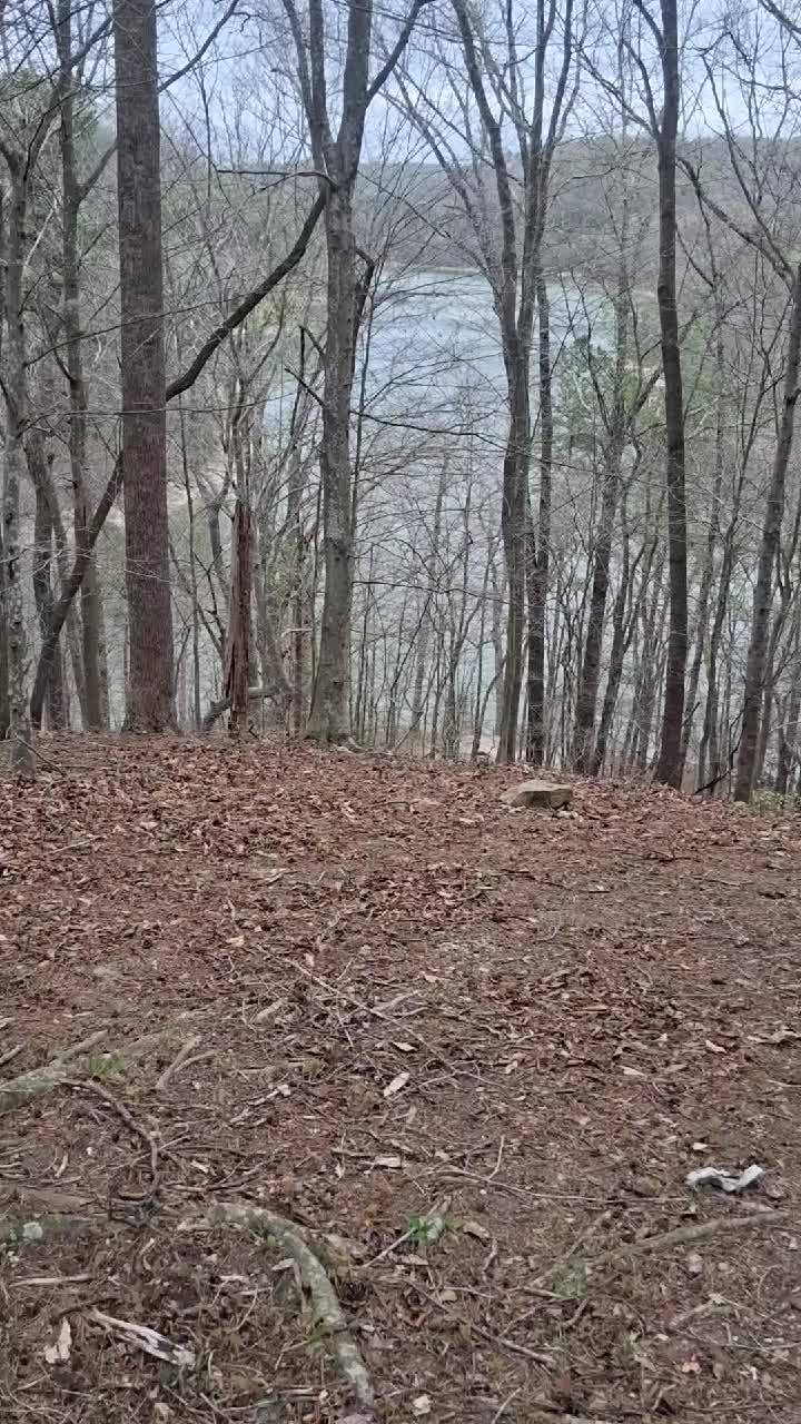 @Eyefortheodd