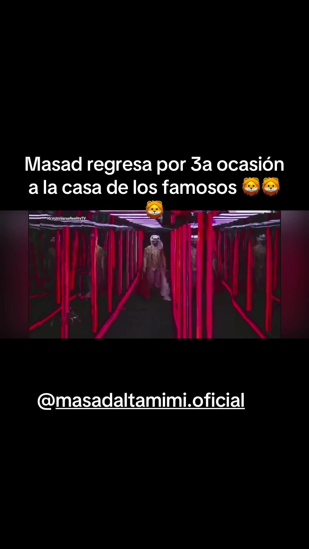 @Habibi Rebelde 🩵