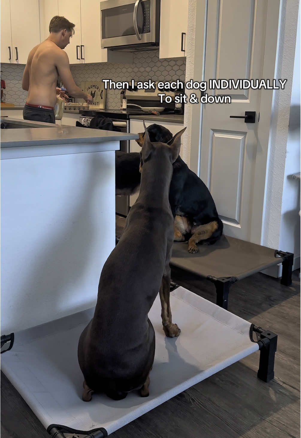 @tylerthek9trainer