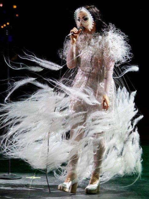 @björk