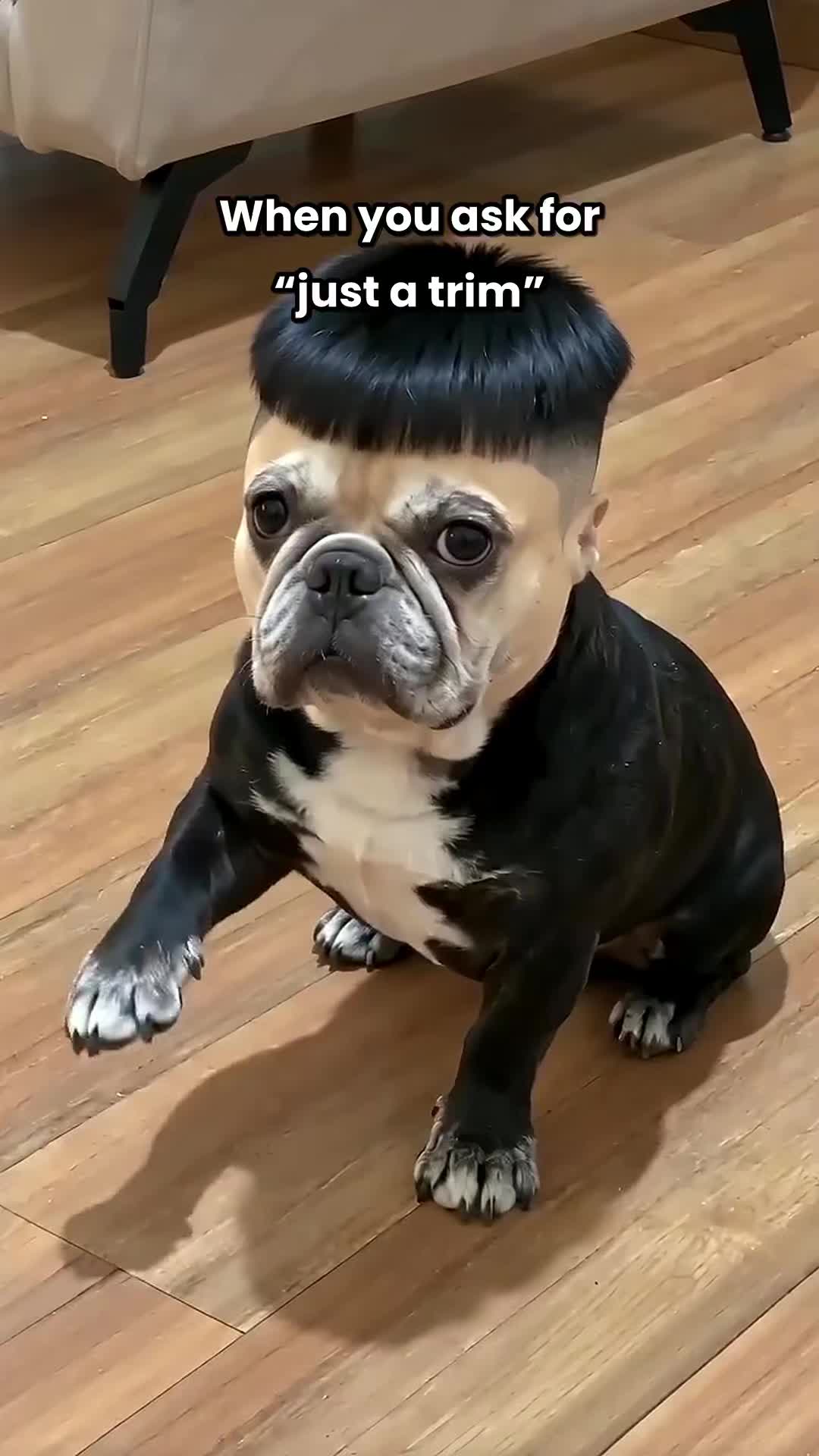 @LukiLuki